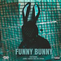 Funny Bunny