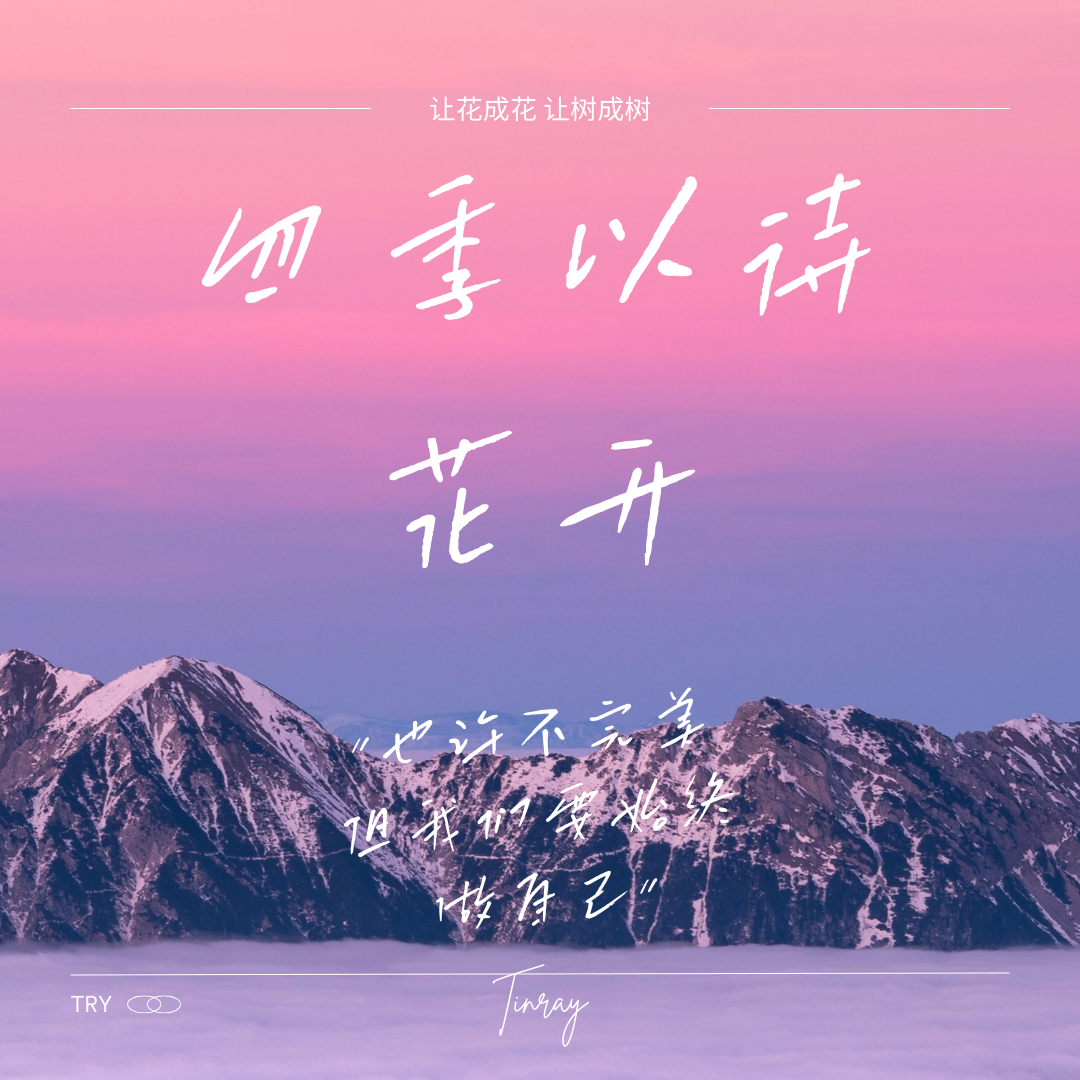 雪后等一场梦来