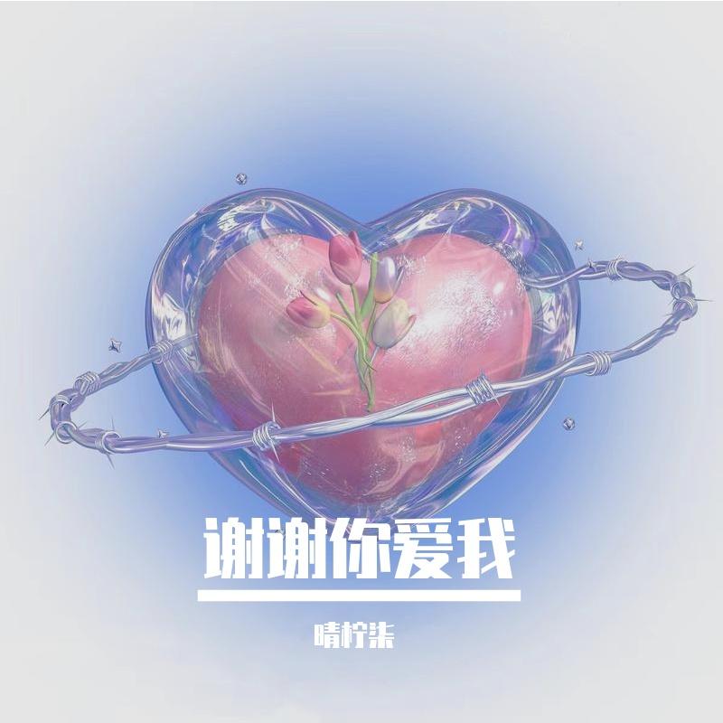 谢谢你爱我（独享版）封面
