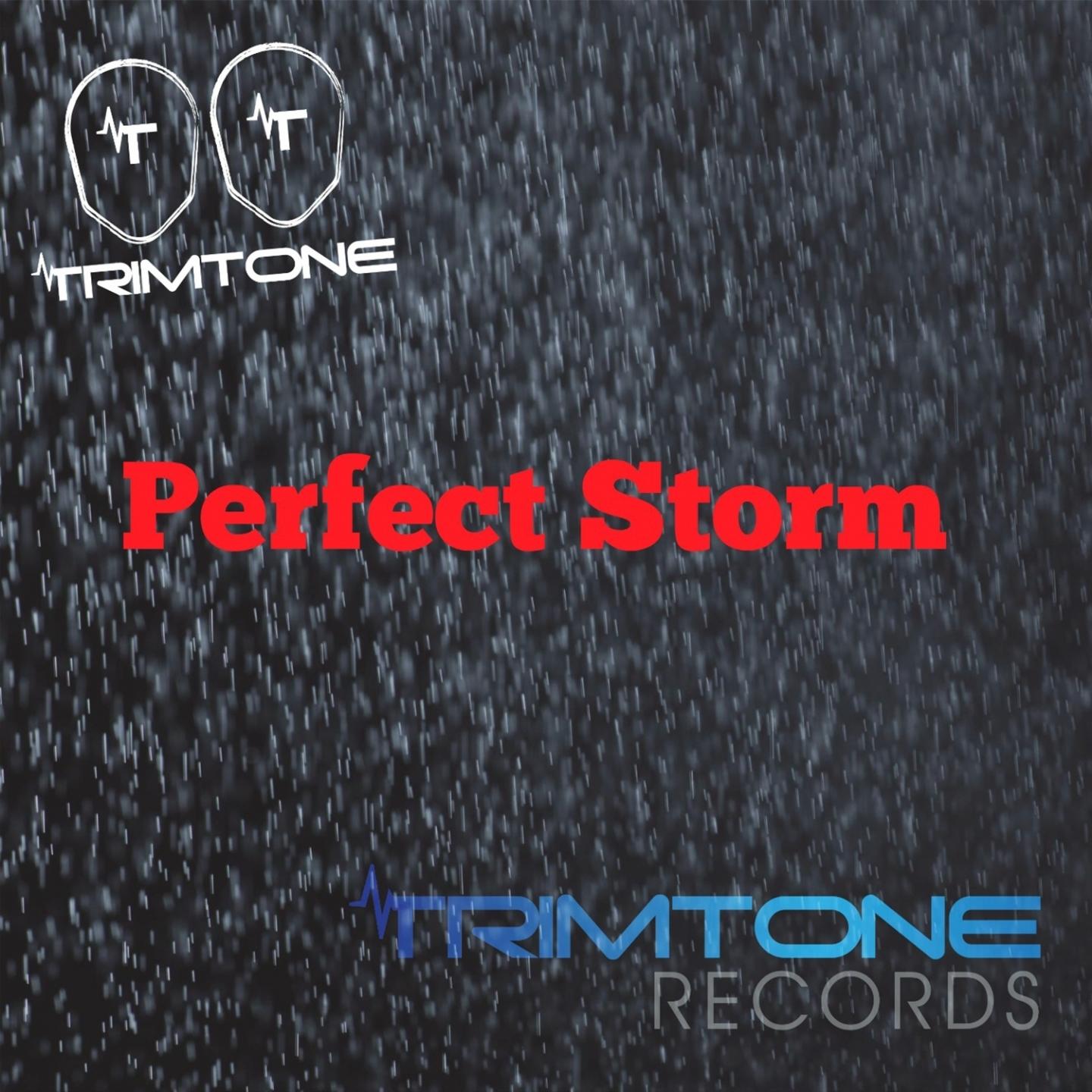 Perfect Storm (Tuff Dubs Mix)