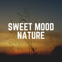 Sweet Mood Nature