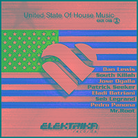 United State Of House Music