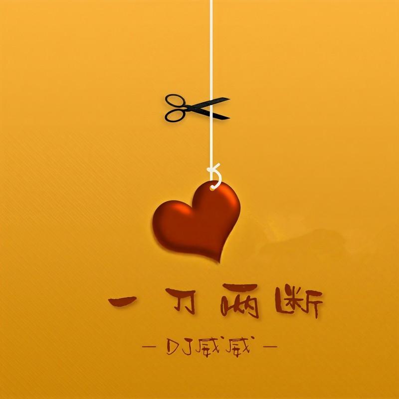 飞蛾扑火 (DJ版) - DJ威威封面