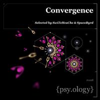 Convergence Selected By Switchcache And Spacebyrd