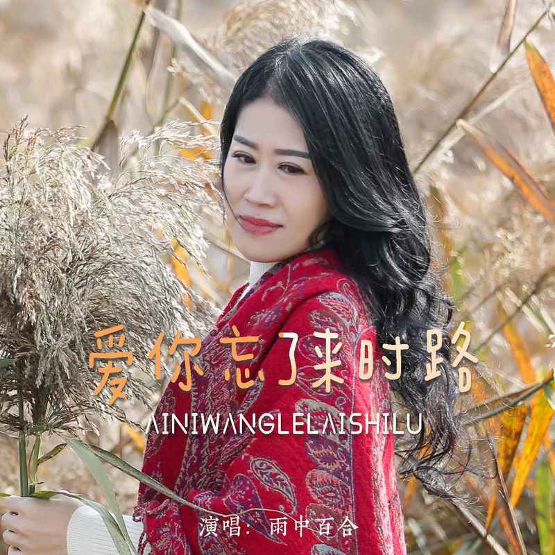 爱你忘了来时路 (DJ默涵版伴奏) - 雨中百合封面