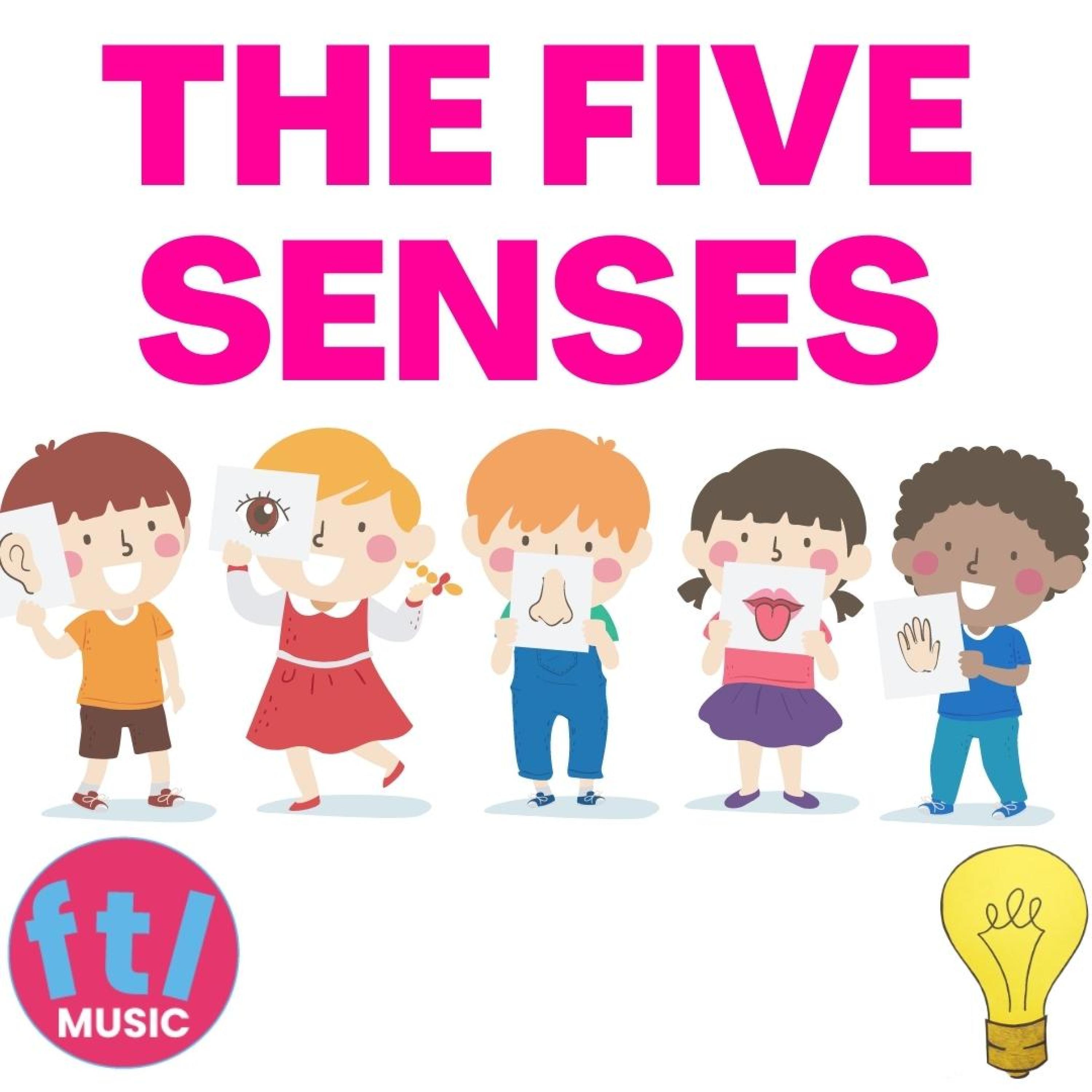 The five senses