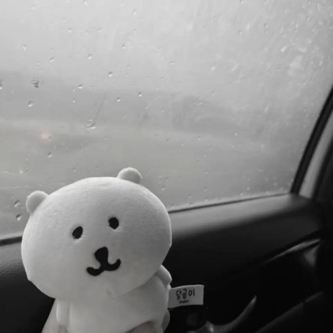 这个世界告诉我 付出真心就会死的感觉