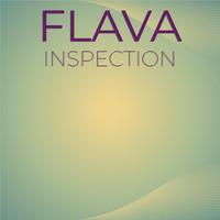 Flava Inspection