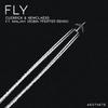 Cuebrick - Fly (Robin Pfeiffer Remix)