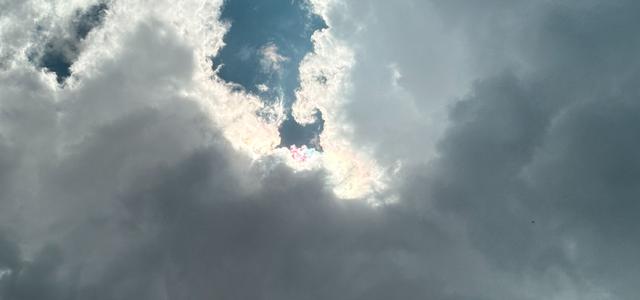 小熊的皮卡丘头像