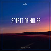 Spirit of House