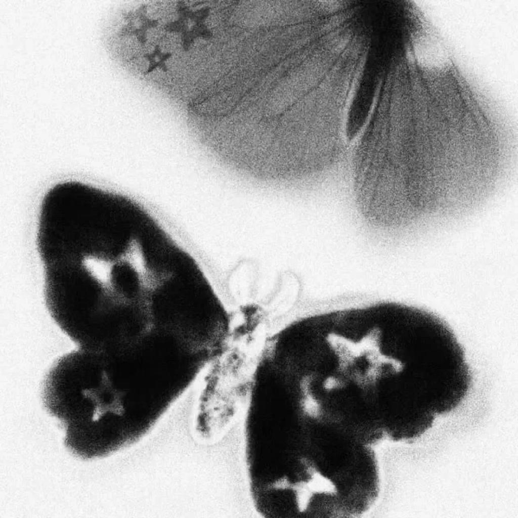 我深爱的痛苦会去向何处