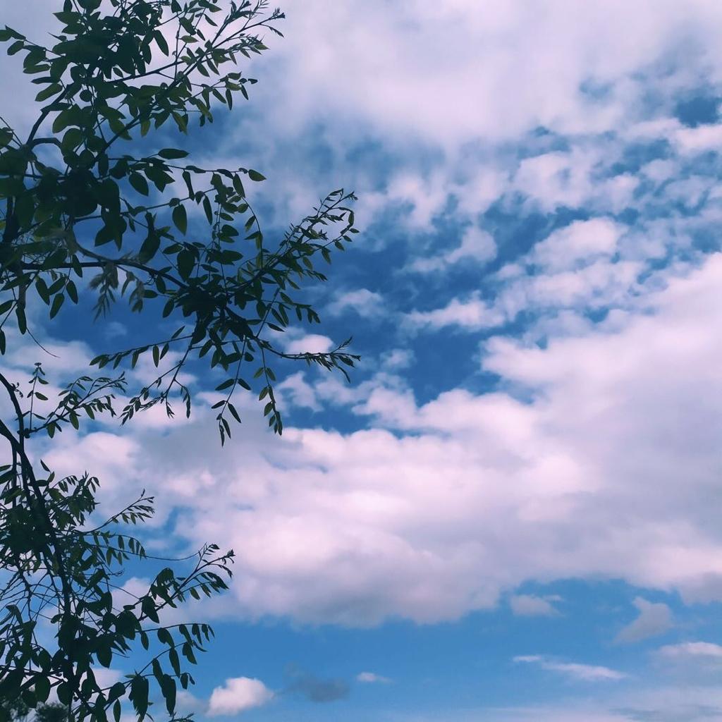 日落就像_荷包蛋