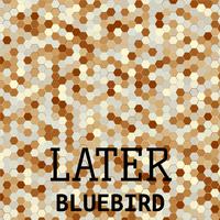 Later Bluebird