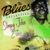 The Blues Collective - Sleepy John Estes