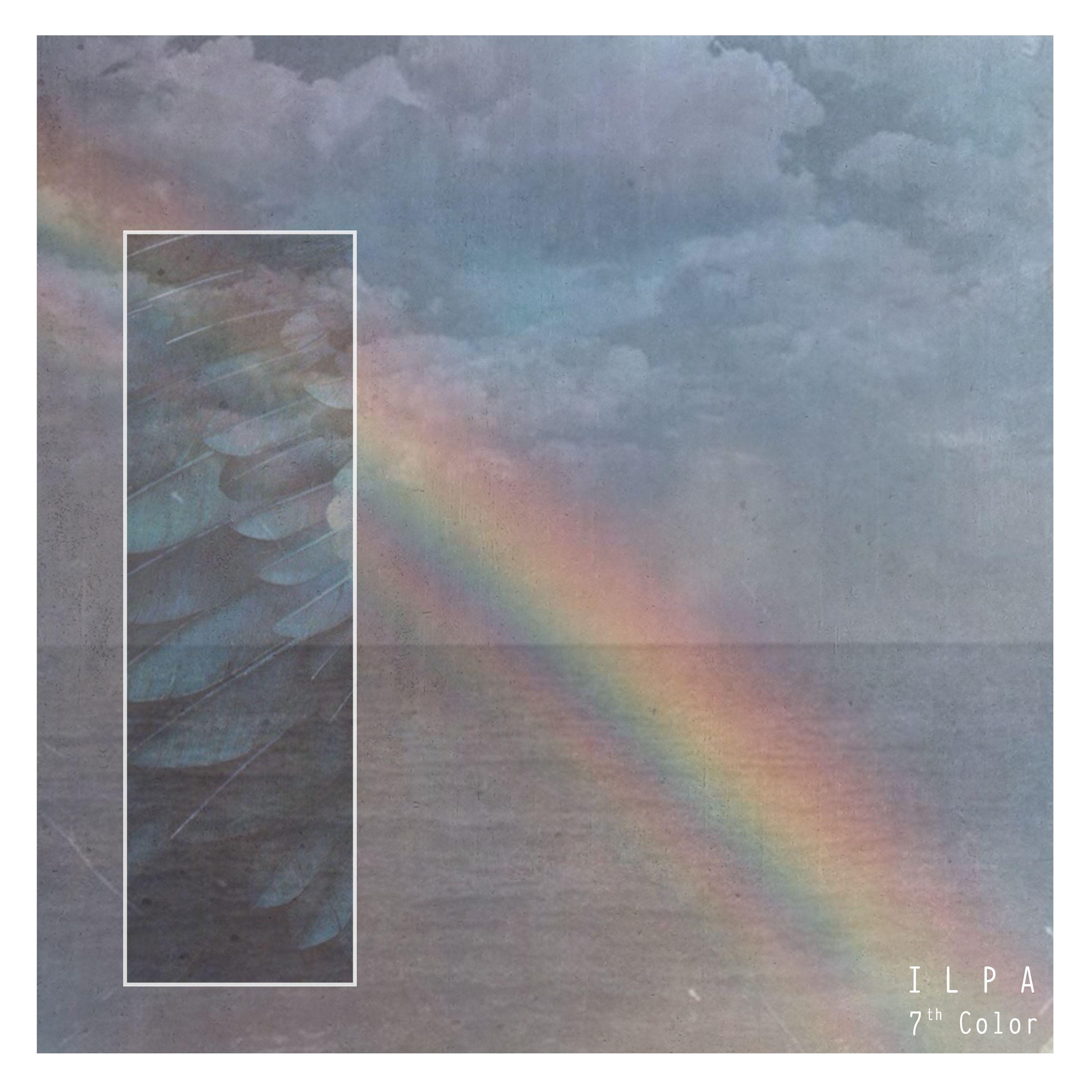 Indigo Lines & Poetic Arena