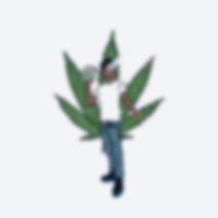 Smoke Plant