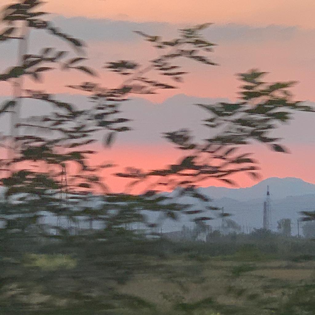 PEP磷酸烯醇丙酮酸