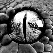 专业余级小饲养员