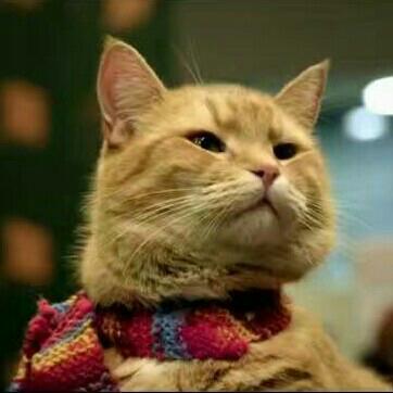 流浪猫鲍勃A Street Cat Named Bob