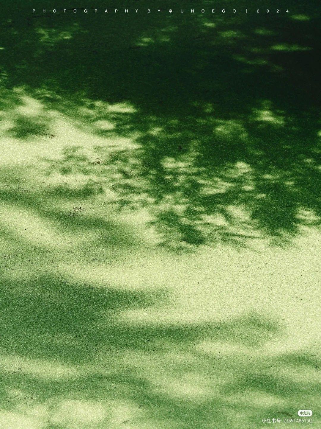 春风吹的我流泪