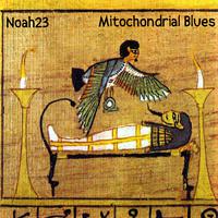 Mitochondrial Blues