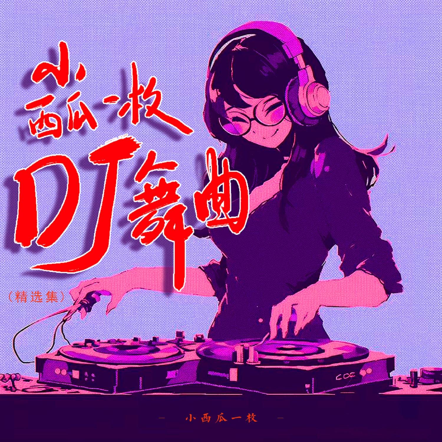 粉红色的回忆 (DJ版)封面