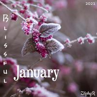 Blissful January