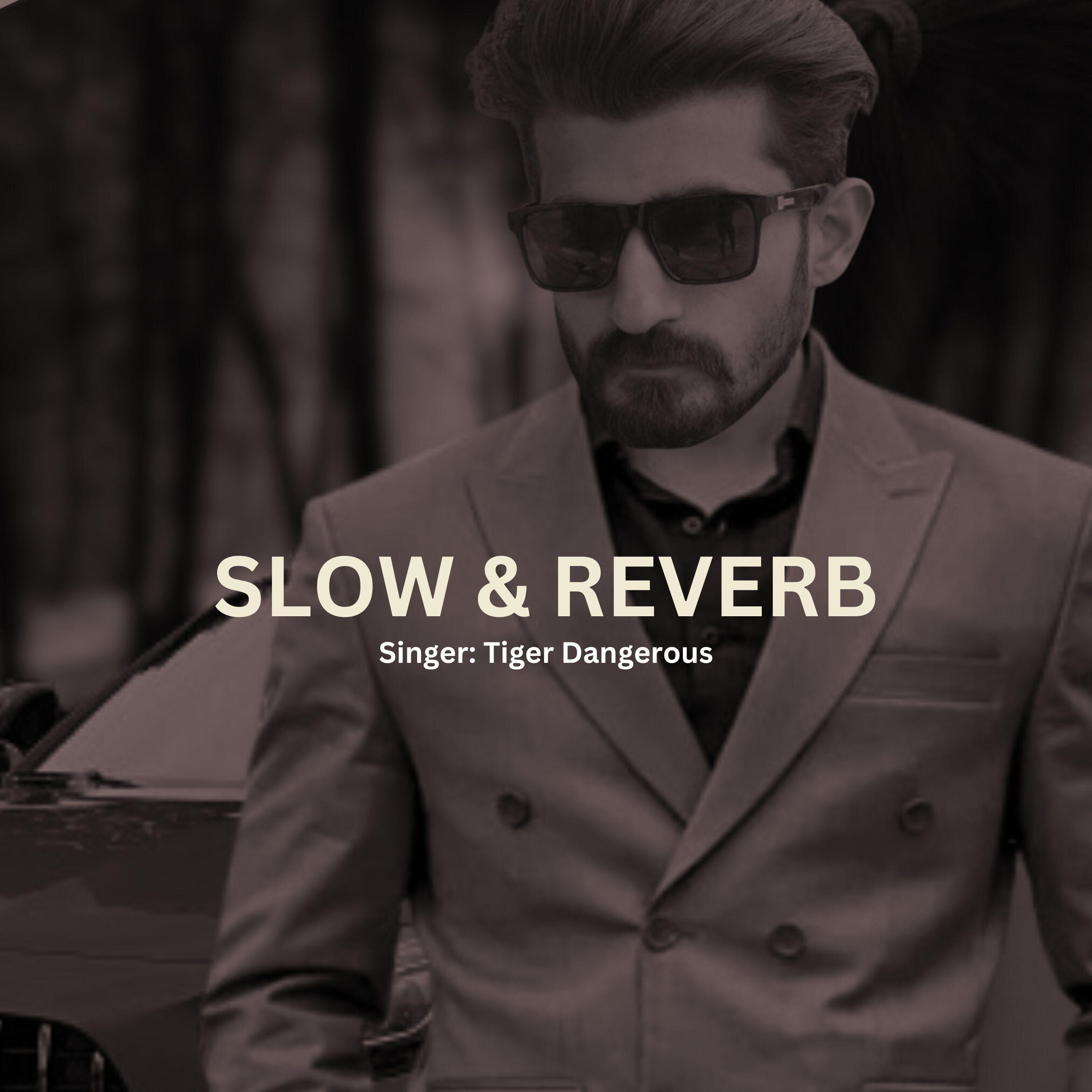 Embrace (Slowed+Reverb)