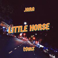 Little Horse (feat. t0mz)