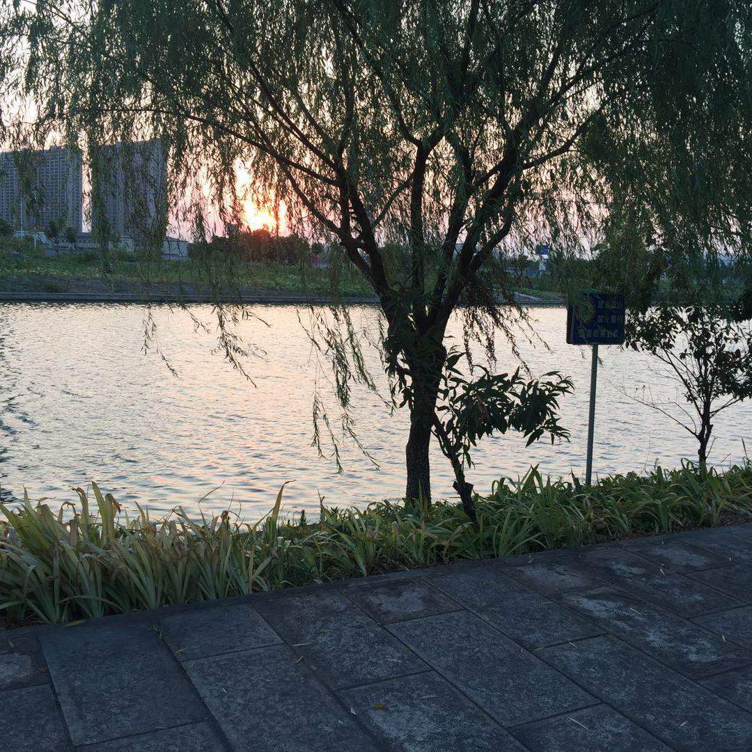 起风了【古风版纯音乐】（翻自 买辣椒也用券）封面