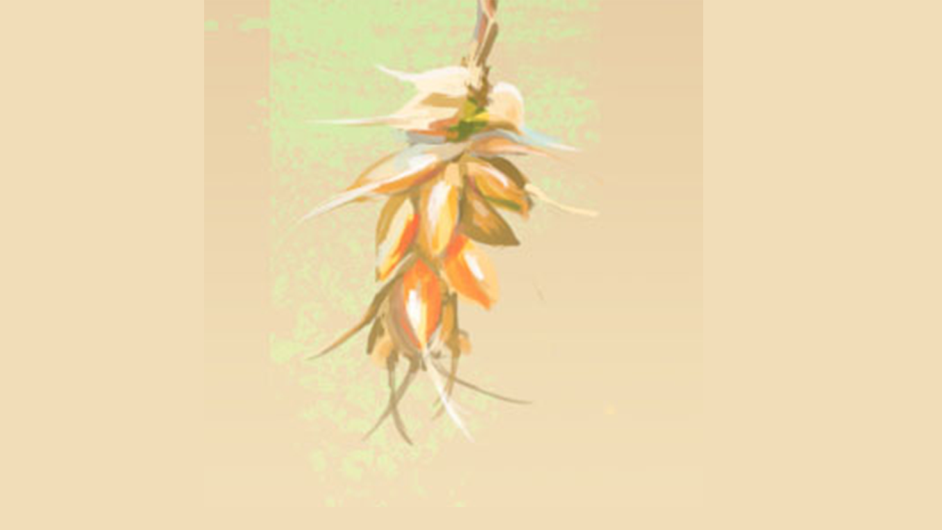 song-img