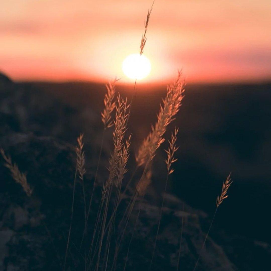 Gustavo Santaolalla-Babel (Remix)（DruGT