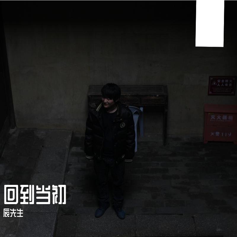 我独行在天地间封面