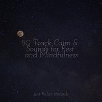 50 Track Calm & Sounds for Rest and Mindfulness