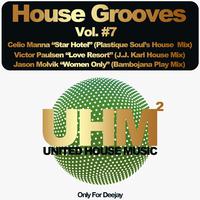 House Grooves, Vol. 7