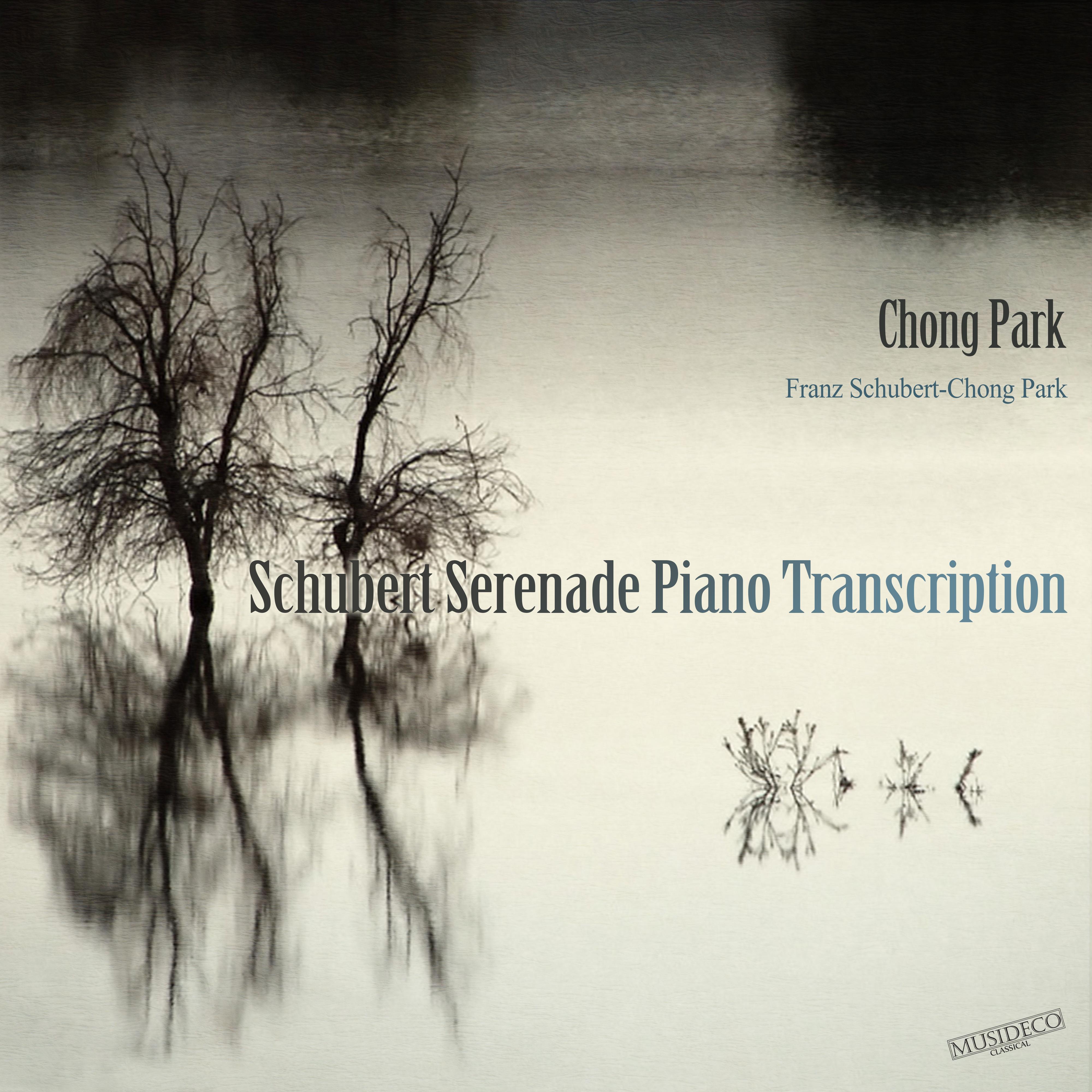 Schubert Serenade Piano Transcription
