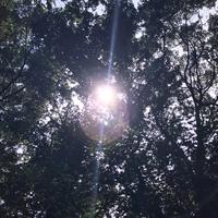 ONE YANG资料,ONE YANG最新歌曲,ONE YANGMV视频,ONE YANG音乐专辑,ONE YANG好听的歌