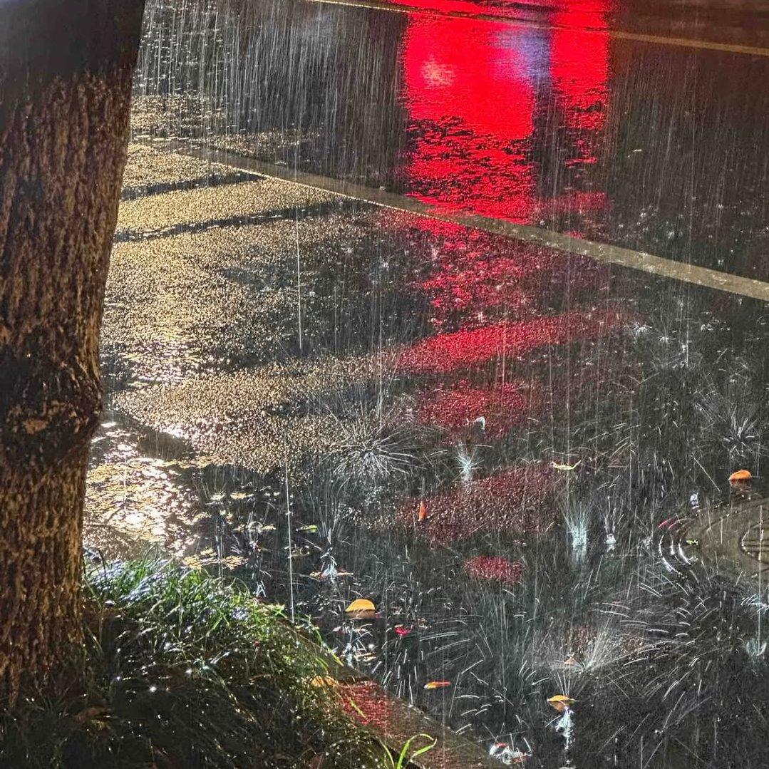 时间煮雨 (0.8x)封面