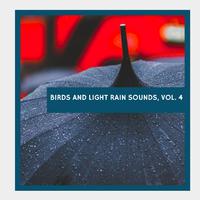 Birds and Light Rain Sounds, Vol. 4