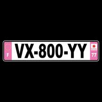 VX800