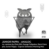 Analog (Remixes)