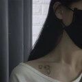 伴君谣封面