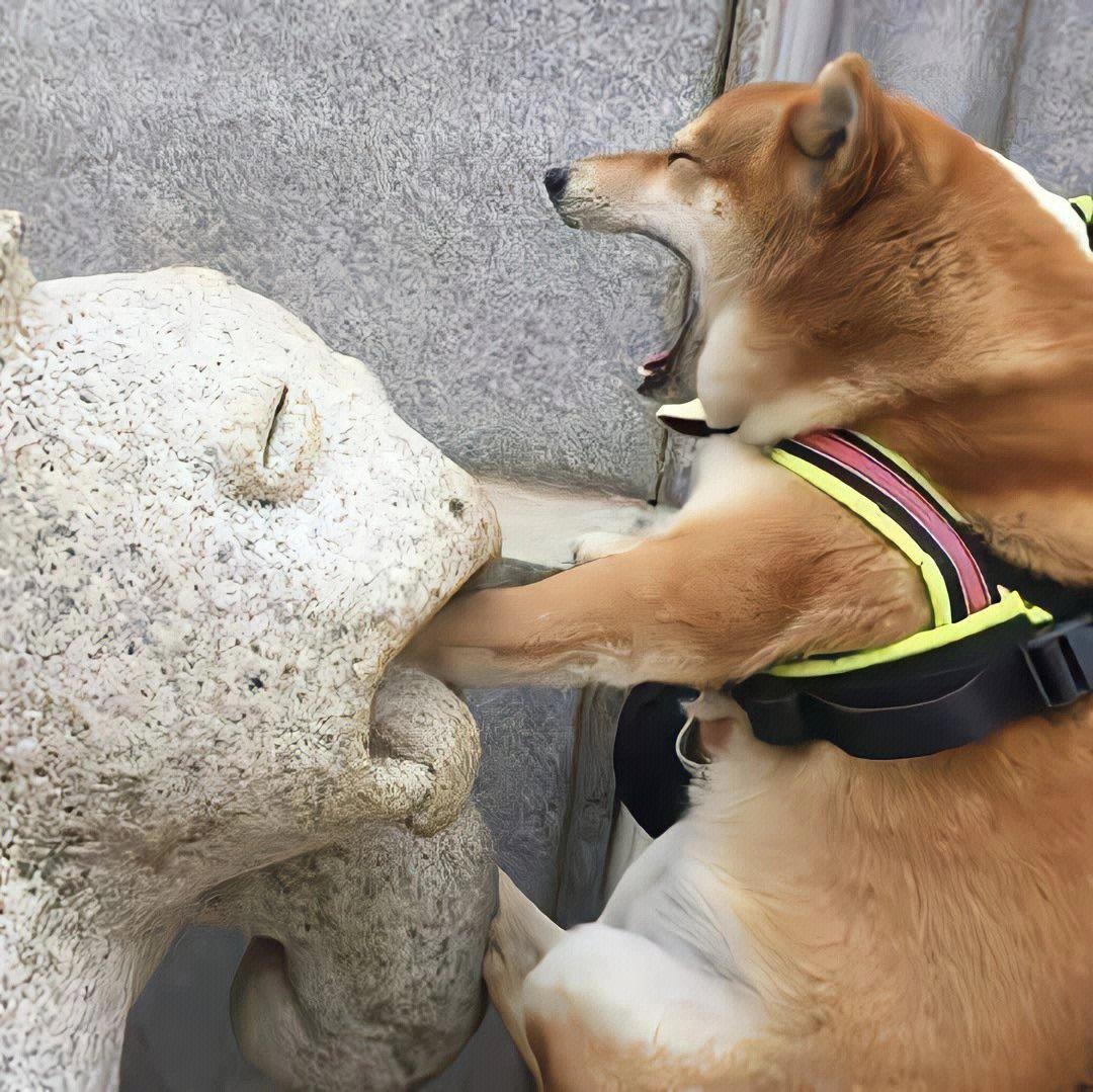 不来也不去封面
