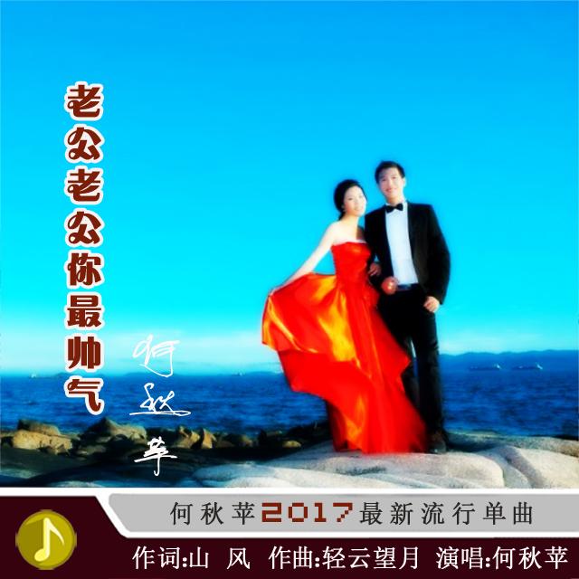 老公老公你最帅气 - 何秋苹封面