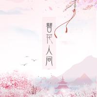 【6线组合】簪花人间