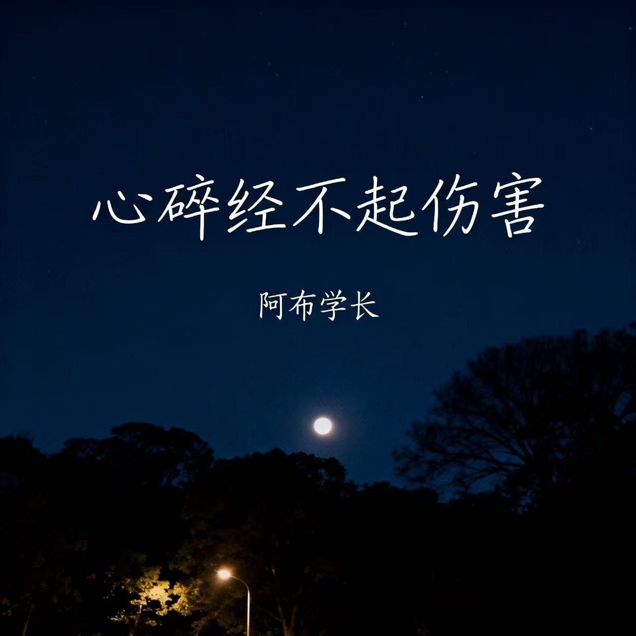 心碎禁不起伤害