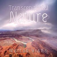 Transcendental Nature