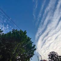 酒笙资料,酒笙最新歌曲,酒笙MV视频,酒笙音乐专辑,酒笙好听的歌