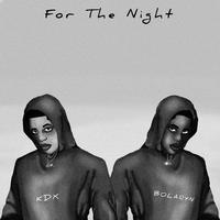 For The Night (feat. Bolaryn)